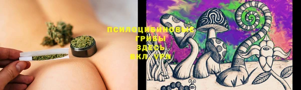тгк Алексин