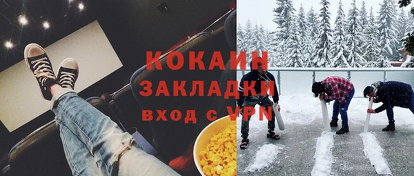 тгк Алексин
