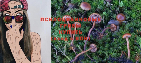 тгк Алексин