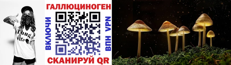 как найти наркотики  Лысково  kraken рабочий сайт  Псилоцибиновые грибы Psilocybine cubensis 